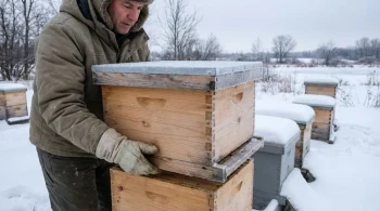 The Weight of Survival: Why Winter Beekeeping is a Test of Restraint