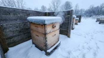 Beyond the Thermometer: The Hidden Thermodynamics of a Winter Beehive