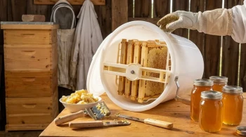 How to Extract Honey Safely Without Damaging Equipment or Hives