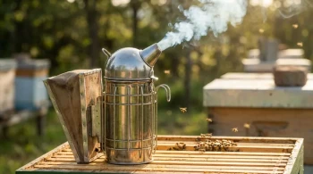 More Than Smoke: The Bee Smoker as a Tool of Trust and Control