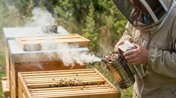 The Art of Cool Smoke: Why Bee Smoker Fuel is a System, Not Just a Substance
