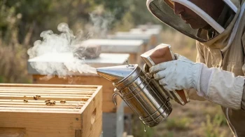 Why Your Bee Smoker Is Making Your Hives Angrier—And How to Fix It