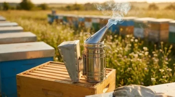 Is Your Bee Smoker Fuel Secretly Harming Your Hives? A Guide for Commercial Apiaries