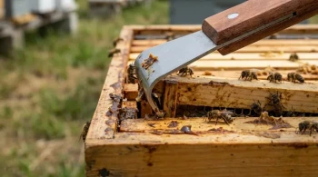 Beyond the Pry Bar: The Hive Tool as the Central Nervous System of Apiary Management