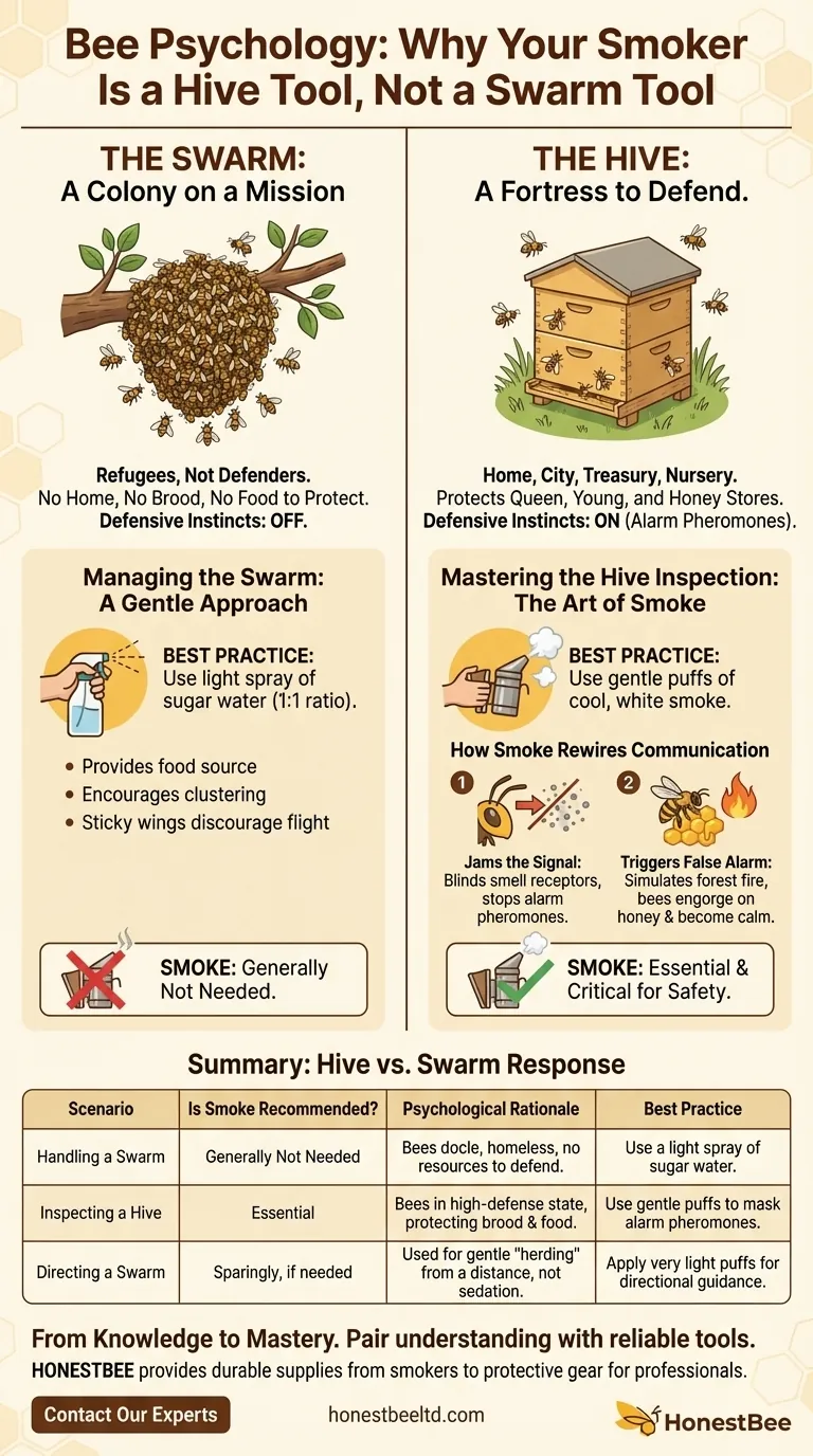 Psicologia das Abelhas: Por que o seu Fumigador é uma Ferramenta de Colmeia, Não de Enxame Guia Visual
