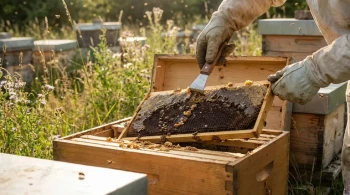 Beyond the Hive Tool: The Compounding Cost of 'Good Enough' in Apiary Management