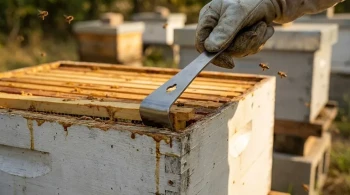 Engineering for Propolis: The Physics and Psychology of the Right Hive Tool