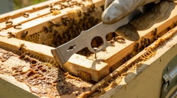 むき出しのデザイン：巣箱ツールの釘抜き機能の工学的妙技