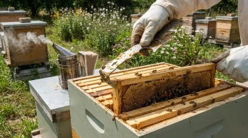 시스템으로서의 양봉장: 왜 당신의 벌통 도구는 단순한 강철 그 이상인가