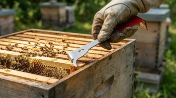 The Unseen Ergonomics of Beekeeping: Why the J-Type Hive Tool is a Masterclass in Design
