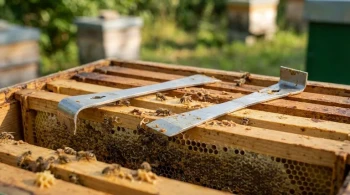 Control vs. Versatility: The Engineering Psychology of Hive Tools