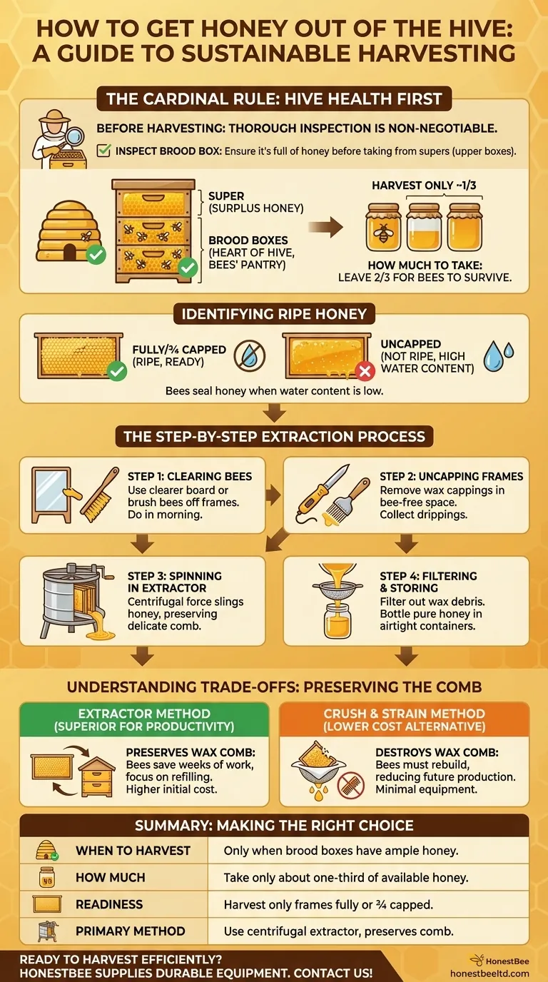 How do you get the honey out of the hive? A Beekeeper's Guide to Responsible Harvesting Visual Guide