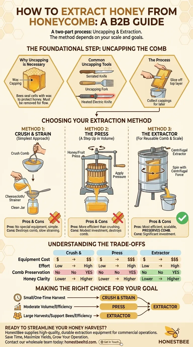 How to extract honey from honeycomb at home? Simple Methods for Every Beekeeper Visual Guide