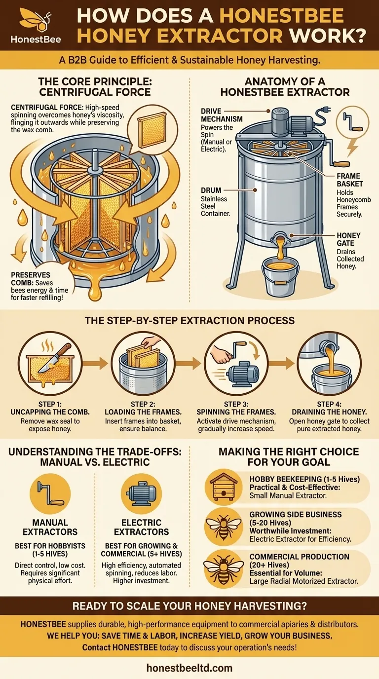 How does a honey extractor work? Efficiently Harvest Honey While Preserving Comb Visual Guide