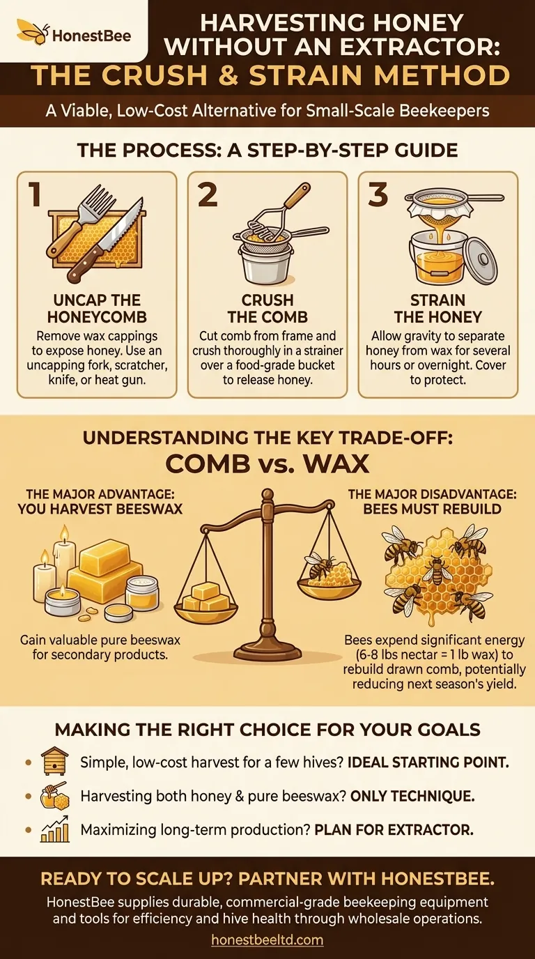 Come estrarre il miele dai telaini senza uno smielatore? Una guida al metodo "Schiaccia e Filtra" Guida Visiva