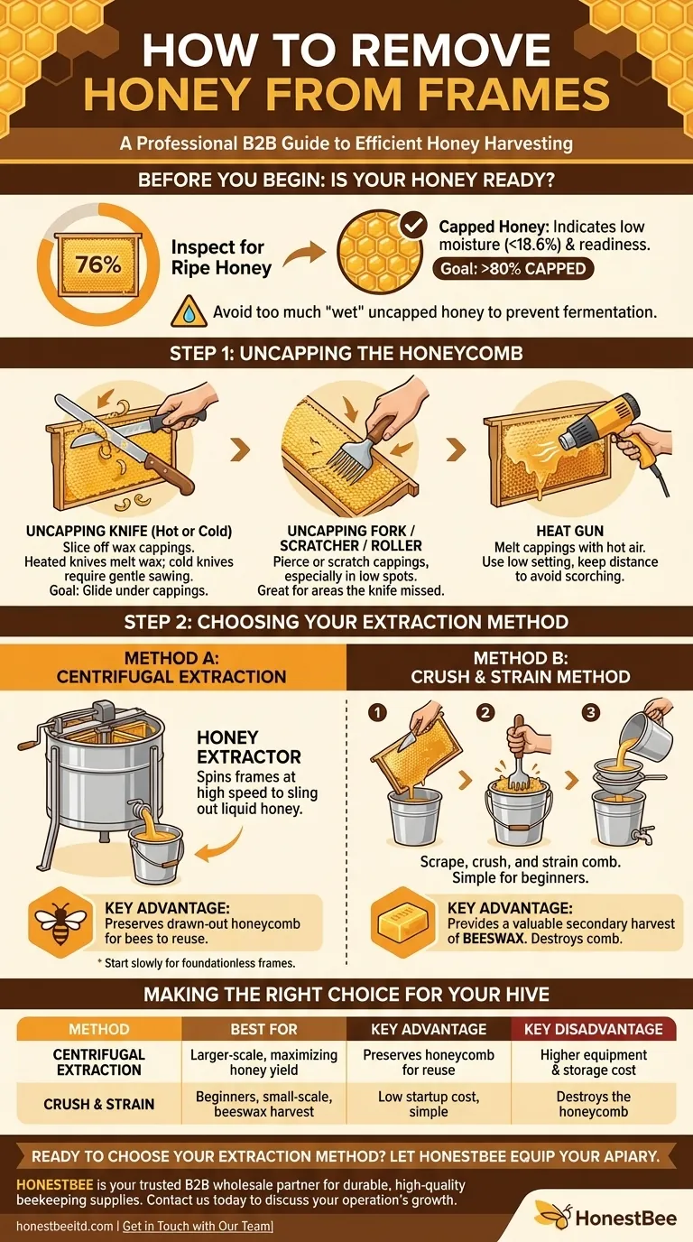 Comment retirer le miel des cadres ? Guide de l'apiculteur sur les méthodes d'extraction Guide Visuel