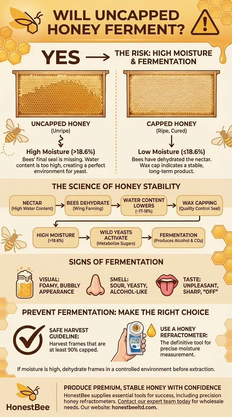 O mel não selado fermenta? Compreendendo o Papel Crítico do Teor de Umidade Guia Visual