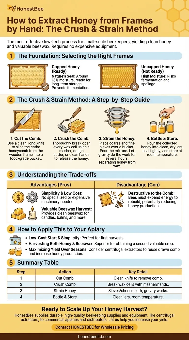손으로 벌집 프레임에서 꿀을 추출하는 방법은 무엇인가요? 간단한 으깨서 거르는 방법을 마스터하세요 시각적 가이드