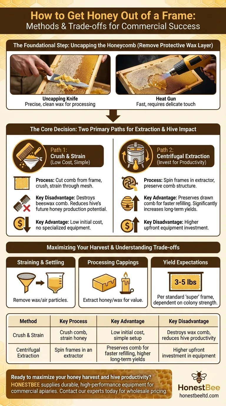 How to get honey out of a frame? Choose Between Crush & Strain or Centrifugal Extraction Visual Guide