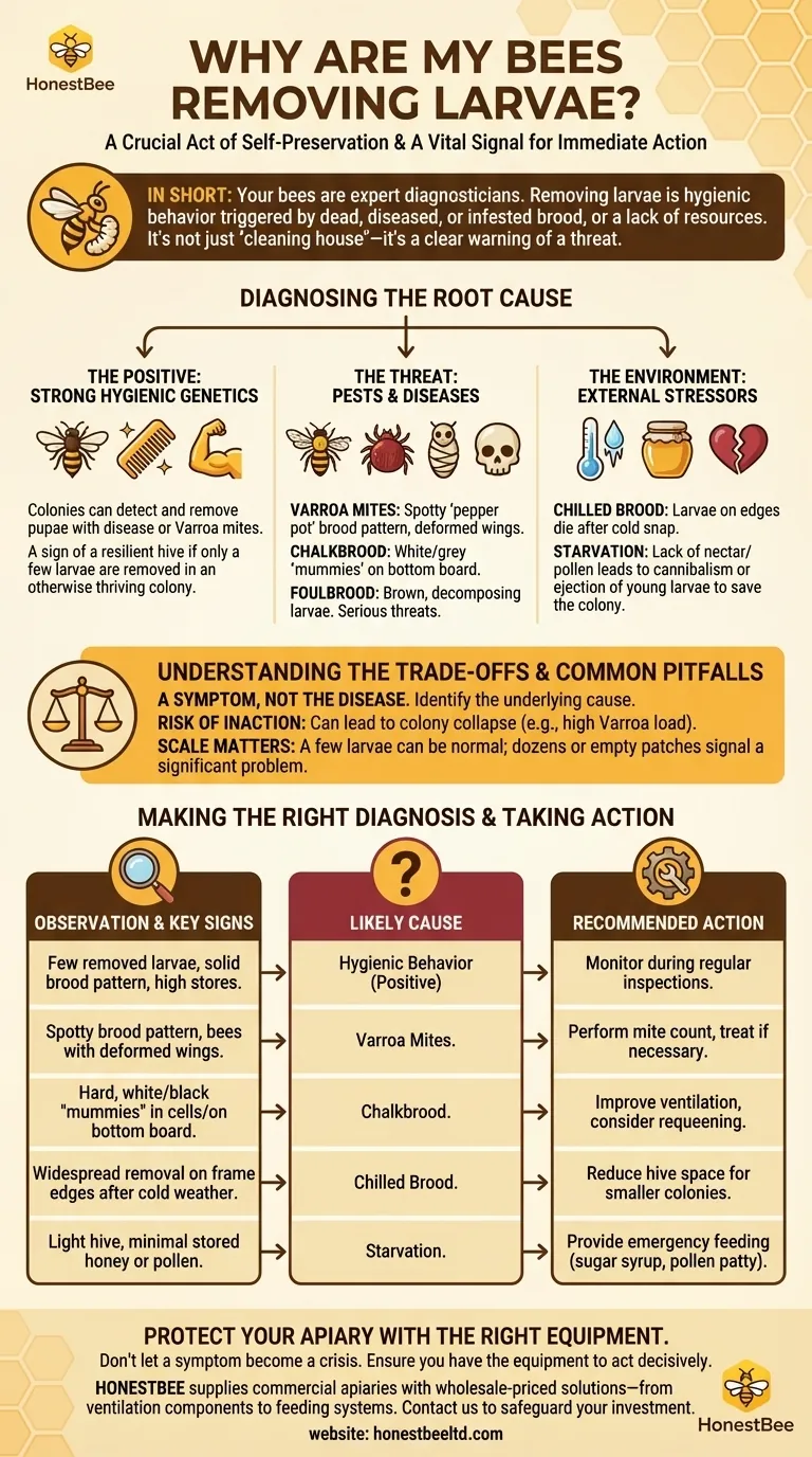 Почему мои пчелы удаляют личинок из улья? Признак критических проблем со здоровьем улья Визуальное руководство