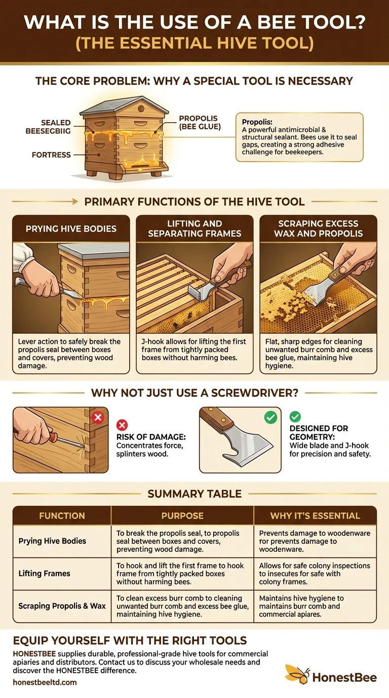 À quoi sert un lève-cadre ? Le levier essentiel pour tout apiculteur Guide Visuel