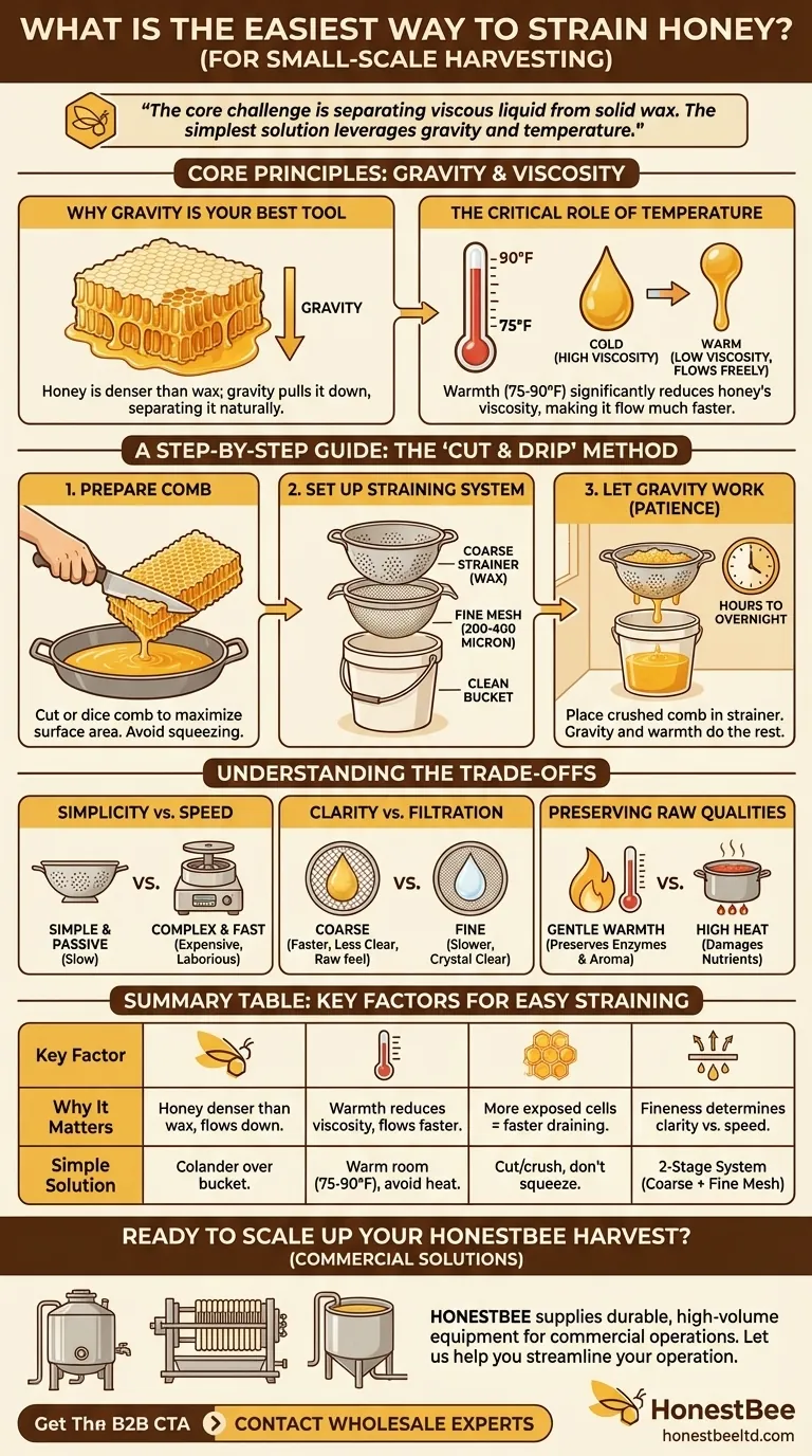 Qual è il modo più semplice per filtrare il miele? Una guida semplice per gli apicoltori amatoriali Guida Visiva