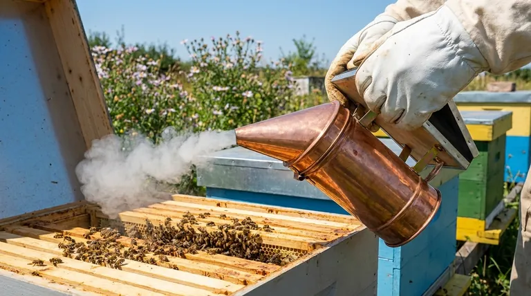 벌 연기가 벌에게 해로운가요? 안전하고 효과적인 사용 가이드
