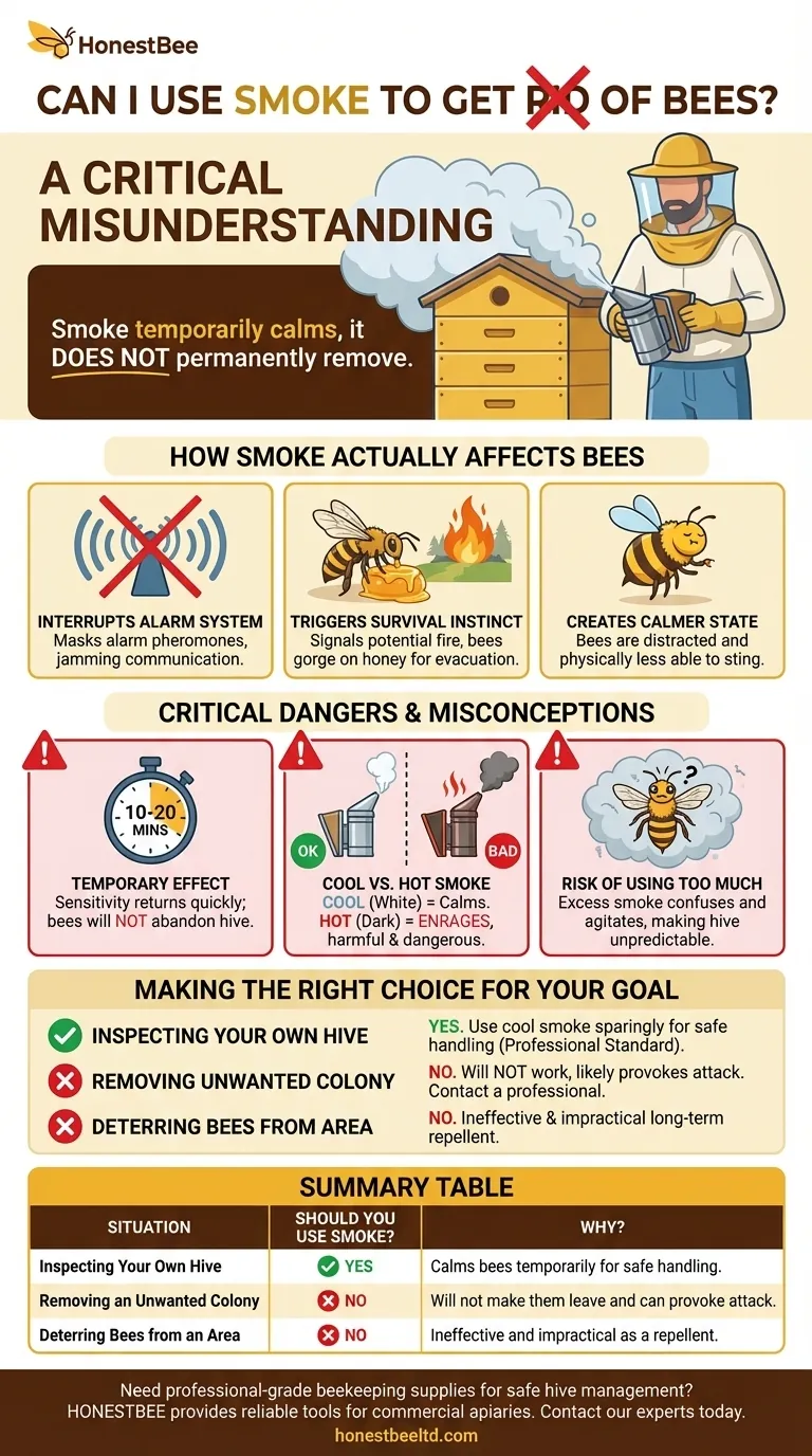 Can I use smoke to get rid of bees? Why Smoke is a Tool, Not a Solution Visual Guide
