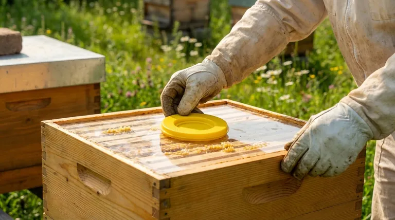 Can you harvest honey without smoke? A Guide to Gentle, Smoke-Free Honey Extraction