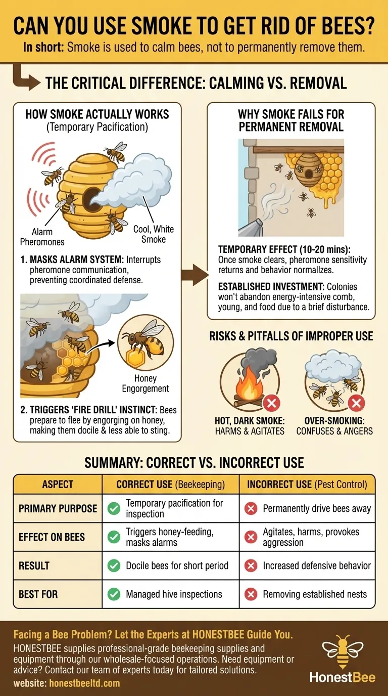 ¿Se puede usar humo para deshacerse de las abejas? La verdad sobre el comportamiento y control de las abejas Guía Visual