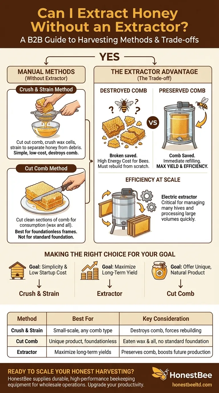 추출기 없이 꿀을 채취할 수 있나요? 소규모 양봉가를 위한 간단하고 저렴한 방법 시각적 가이드