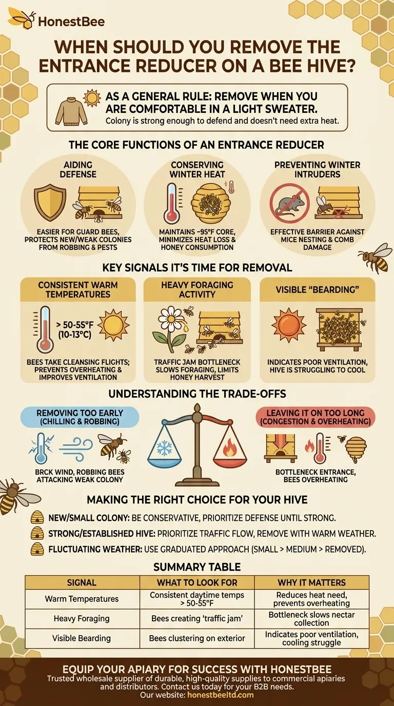 ¿Cuándo se debe quitar el reductor de entrada de una colmena de abejas? Una guía para mejorar la salud de la colmena y la producción de miel Guía Visual