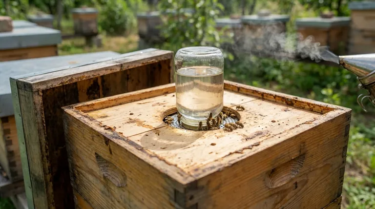 벌통 덮개(inner cover)의 구멍은 무엇을 위해 만들어졌습니까? 환기, 먹이 공급 및 벌 교통 관리를 위한 안내서