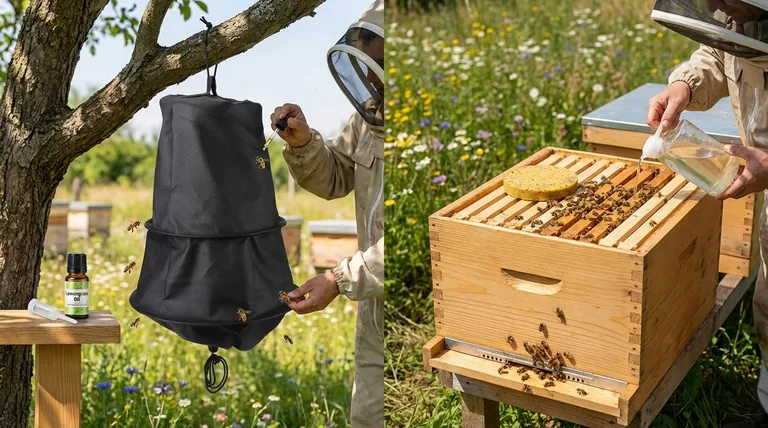 양봉가들은 벌을 유인하기 위해 무엇을 사용하나요? 벌떼 포획 및 벌통 관리 마스터하기