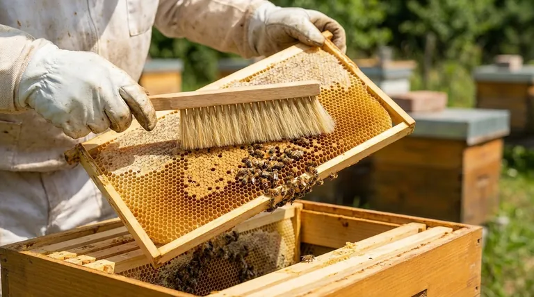 蜜蜂刷是用来做什么的?轻轻扫开蜂巢框上的蜜蜂