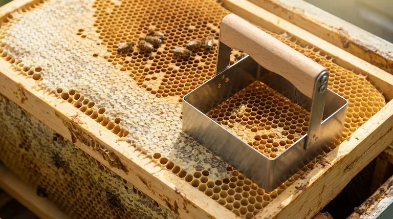 꿀벌이 사용하는 벌집은 무엇을 위한 것인가요? 벌집의 다목적 경이로움