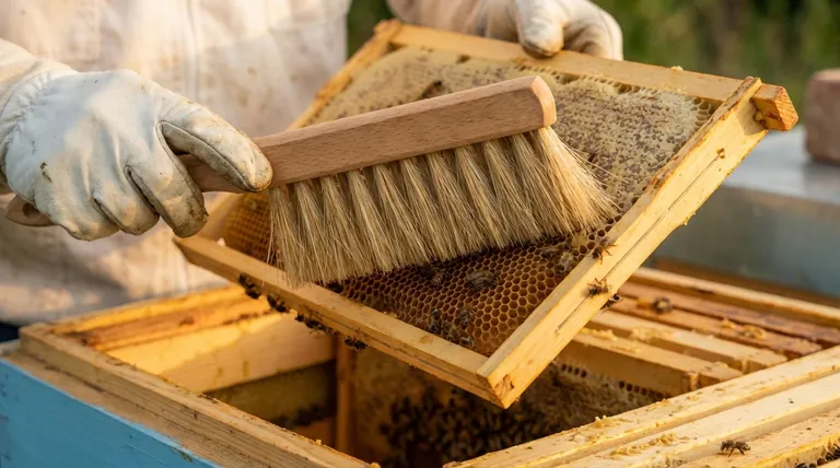 벌솔은 무엇에 사용하나요? 벌에게 해를 끼치지 않고 벌집을 부드럽게 관리하세요