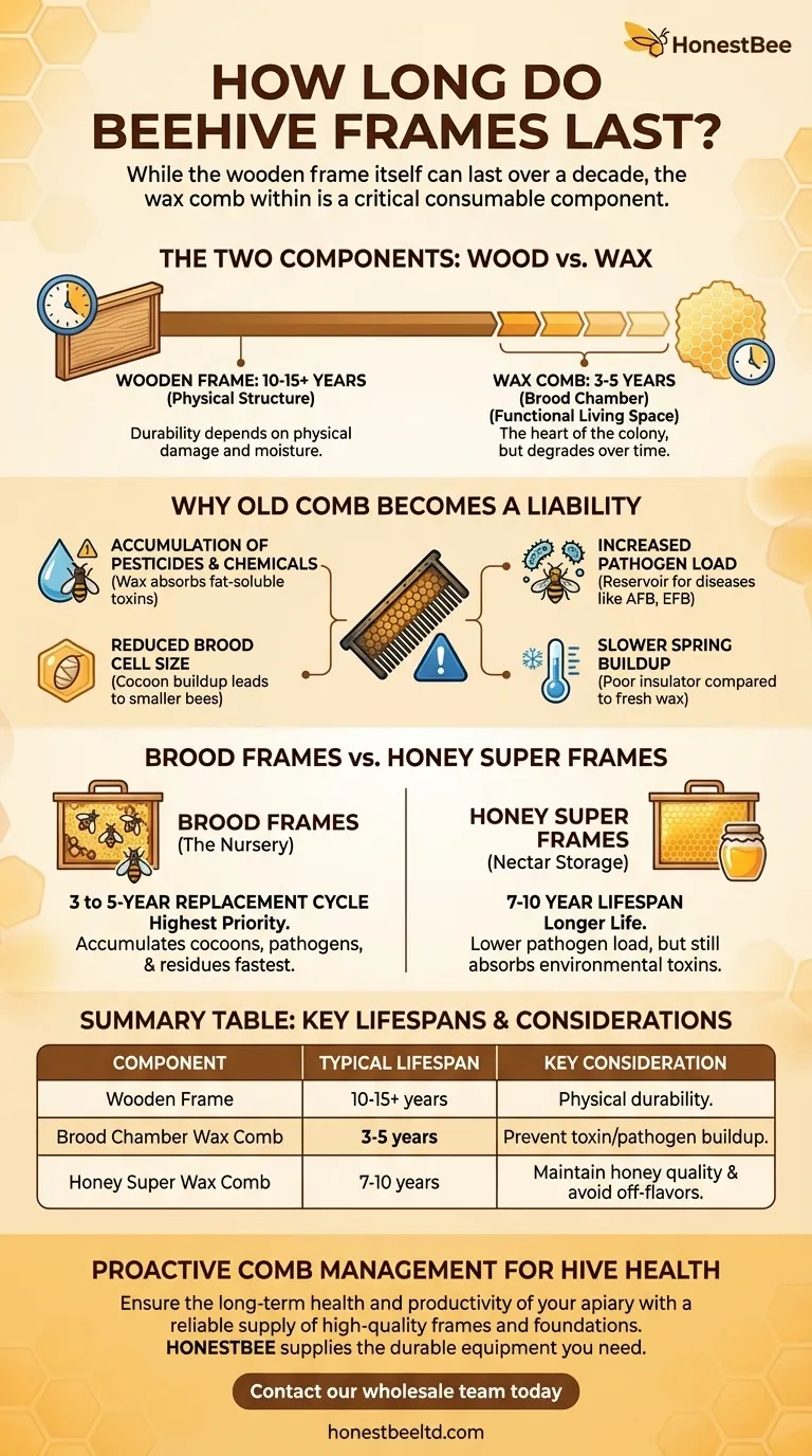 Quanto durano i telaini per arnia? Una guida alla rotazione sana dei favi Guida Visiva