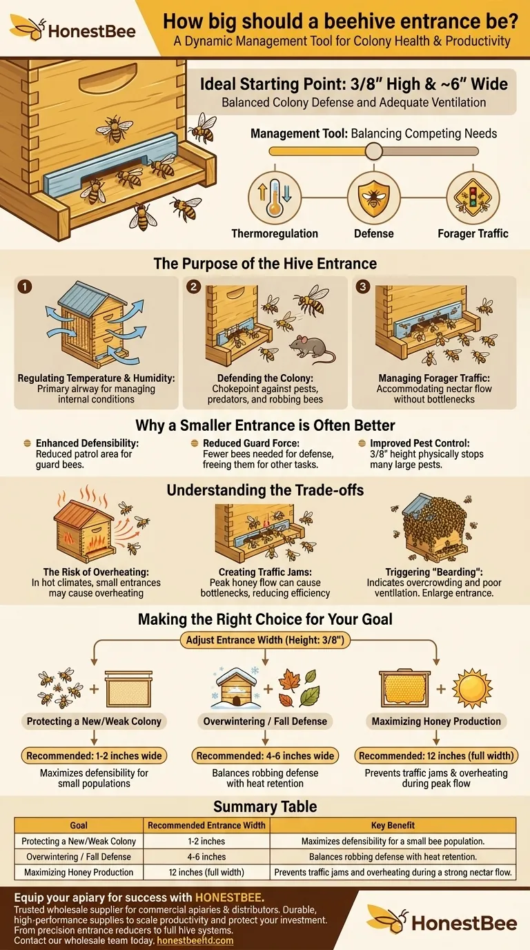 Quanto dovrebbe essere grande l'ingresso di un alveare? Ottimizzare per la salute della colonia e la produzione di miele Guida Visiva