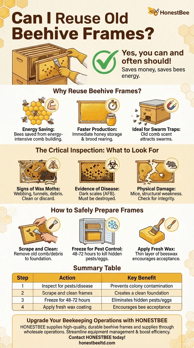 Can I reuse old beehive frames? Save Money and Boost Hive Productivity Visual Guide