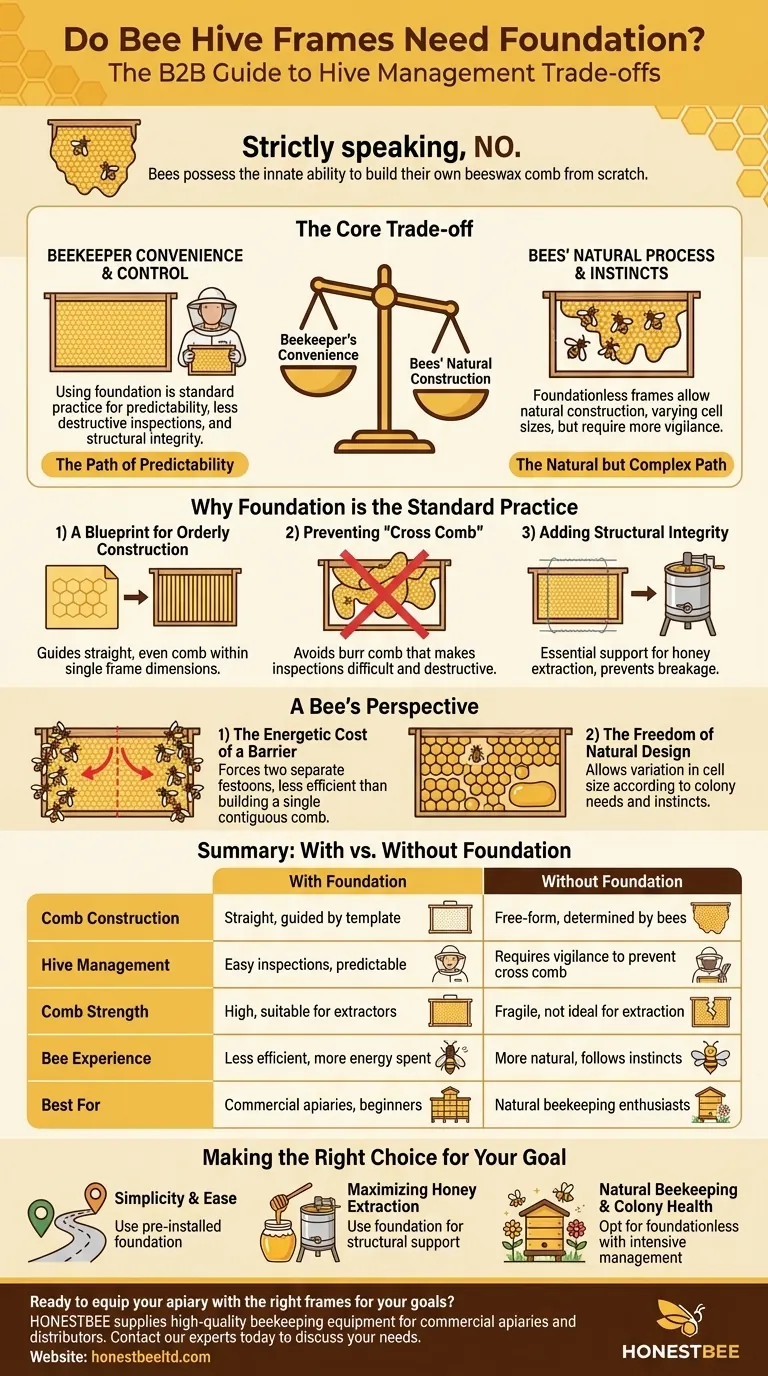 هل تحتاج إطارات خلية النحل إلى أساس؟ الموازنة بين راحة مربي النحل وسلوك النحل الطبيعي دليل مرئي