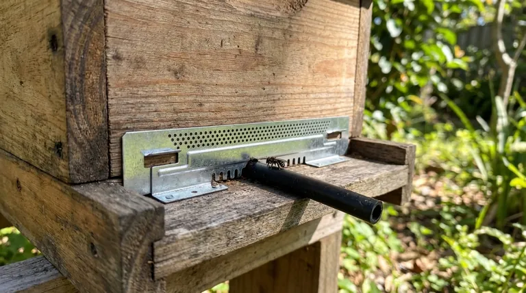 What size is the entrance hole in a native bee hive? The 13mm Standard for a Thriving Colony