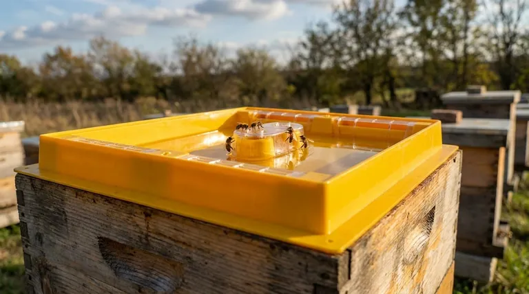 トップフィーダーとは何ですか？効率的でストレスの少ない養蜂のためのガイド