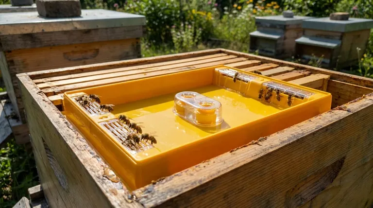 벌통에 가장 적합한 급수기는 무엇인가요? 벌집의 필요에 맞는 급수기를 선택하세요