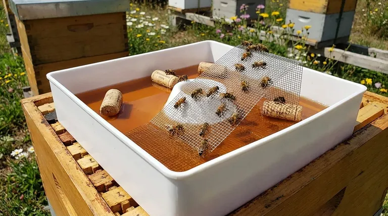 Comment empêcher les abeilles de se noyer dans mon nourrisseur de dessus ? Assurer un nourrissage sécurisé pour votre ruche