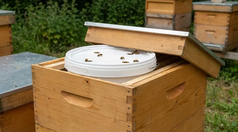 Qual è il miglior alimentatore per le api mellifere? Una guida alla scelta dell'alimentatore giusto per il tuo apiario