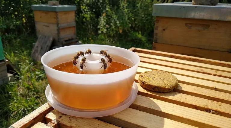 꿀벌에게 먹이를 주는 가장 좋은 방법은 무엇인가요? 건강한 벌통을 위한 전략적 가이드