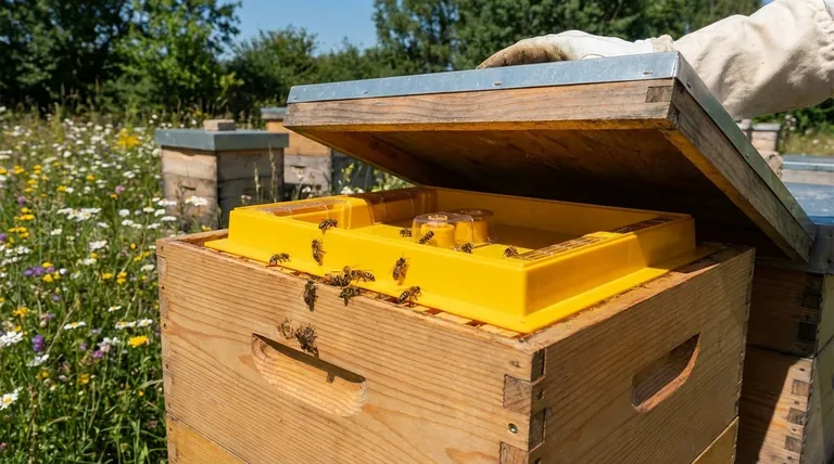 巣箱に最適なミツバチ給餌器は何ですか?養蜂場の規模に合った給餌器を選びましょう