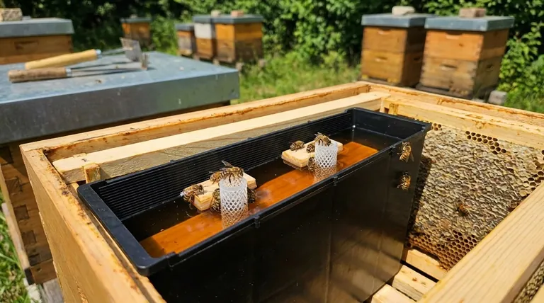 How do I keep bees from drowning in my frame feeder? Essential Tips for a Safe Hive