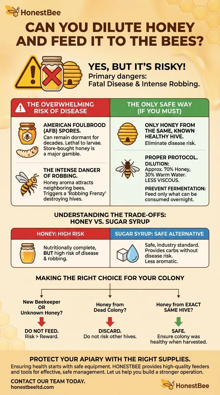Can you dilute honey and feed it to the bees? Understand the Critical Risks and Safe Practices Visual Guide